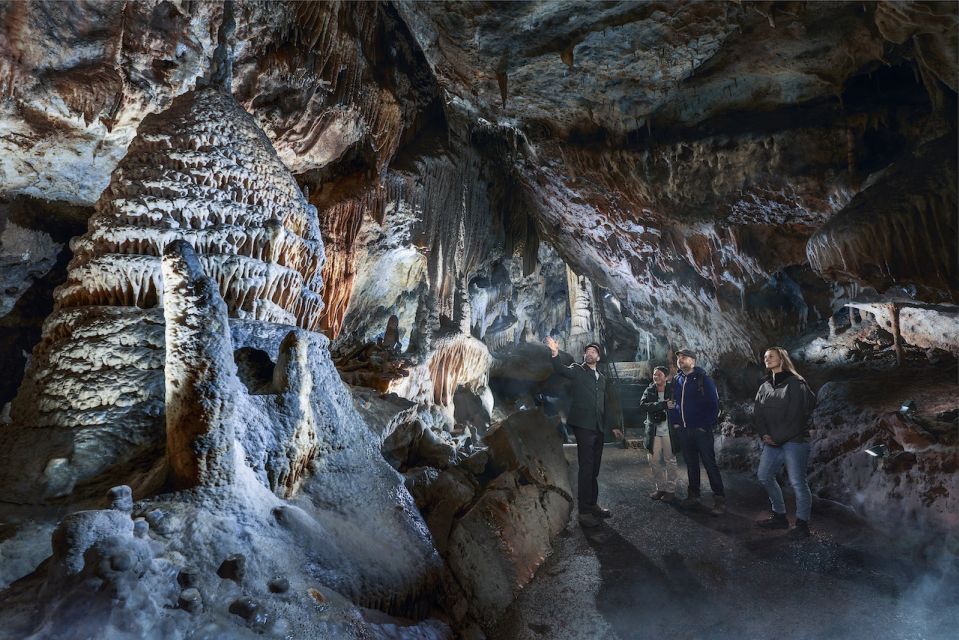 Ardennes: Caves of Han & Wildlife Park Bundle Entry Ticket - Included Activities and Duration