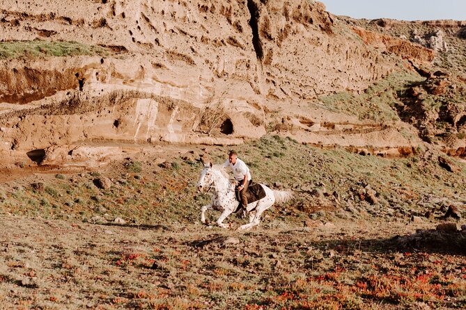 Beach Gallop - Horse Riding Safari for Experienced Riders - Important Safety Considerations