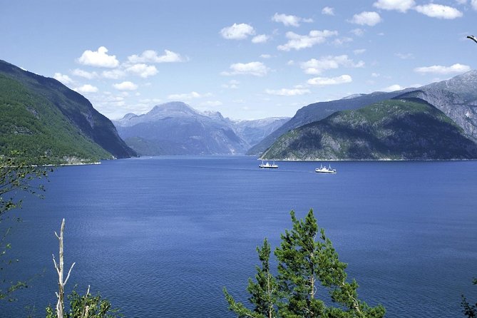 Bergen: Private Full-Day Roundtrip to Hardangerfjord With Cruise - Hardangervidda Nature Centre