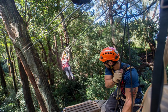 Big Island Kohala Canopy Zipline Adventure - Traveler Feedback and Ratings