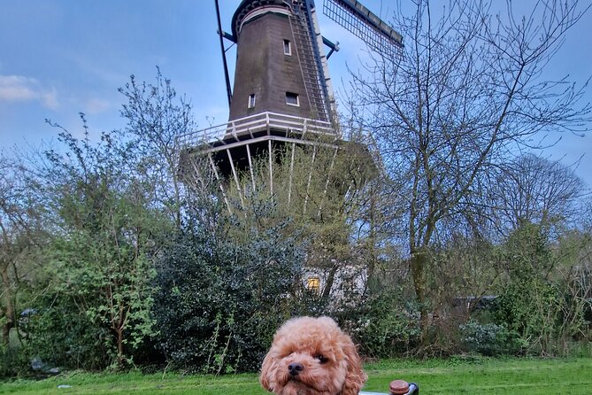 Bills Bike Tour Amsterdam - Bike With Bill and Puppy Herman - Tour Group Size