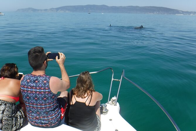 Boat Trip for Dolphin Watching Along the Arrabida Coast and Sesimbra - Start Time and Duration