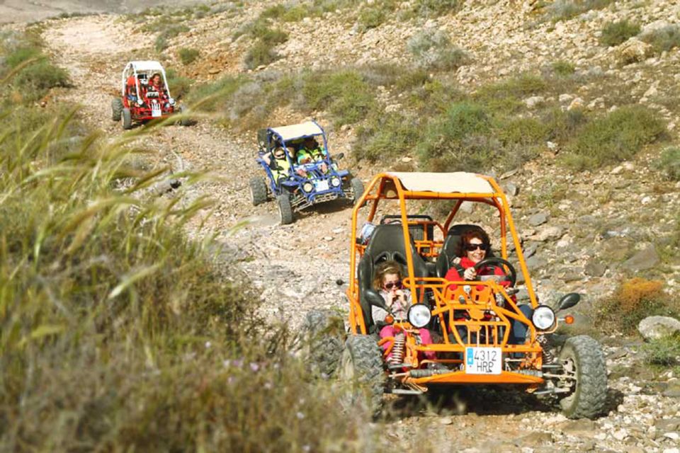 Caleta De Fuste: Guided Buggy Explorer Tour - Customer Reviews and Feedback