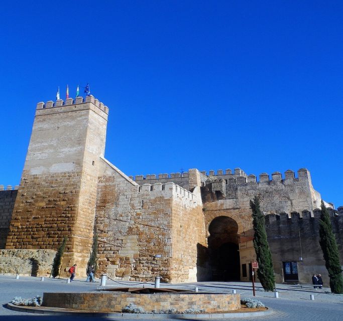 Carmona and Necropolis Tour From Seville - Infant Seats and Age Restrictions