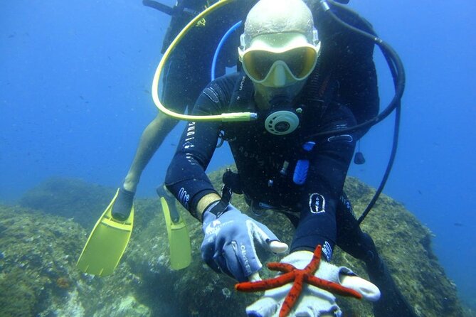 Catania: Scuba Diving Experience - Expertise of the Guide