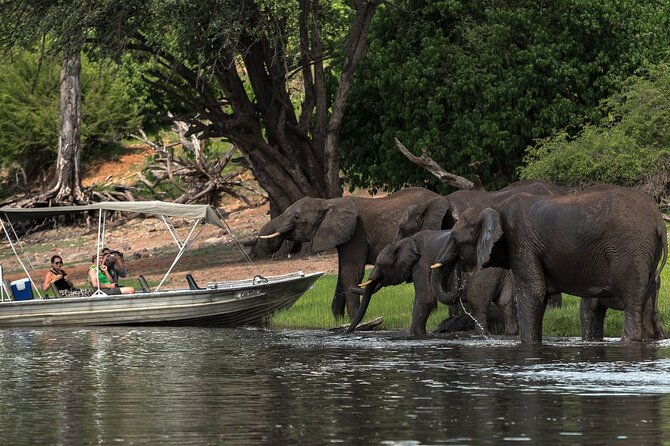 Chobe Day Trip Ex Livingstone / Victoria Falls - Cancellation and Payment Options