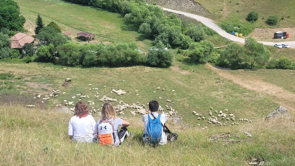 Cluj: Outdoor Activities Day Trip With Zip Line and Hike - Customer Reviews