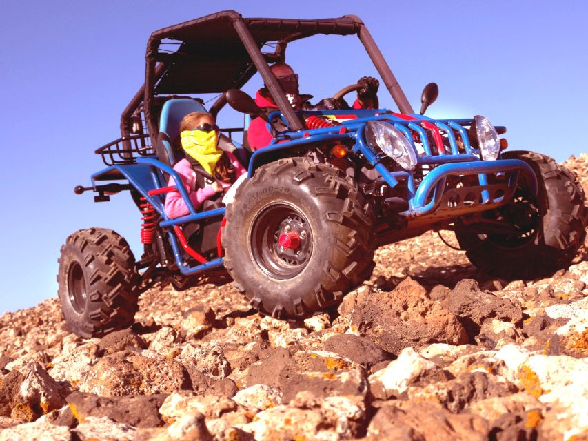 Corralejo: Buggy Safari Tour - Customer Feedback and Ratings