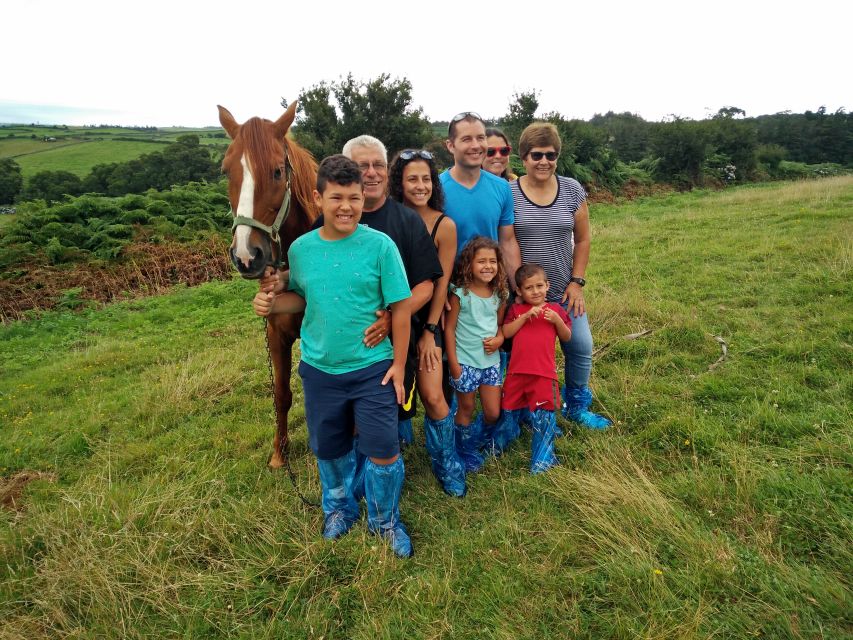 Dairy Farm Visit and Cow Milking Experience in Azores - Group Size and Language