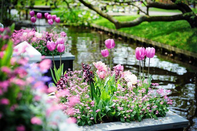 Day Trip to Keukenhof Gardens From Amsterdam With Tour Guide - Cancellation Policy and Bookings