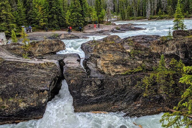 Day Trip to Lake Louise, Moraine Lake, Yoho From Calgary, Banff - Accessibility and Group Size