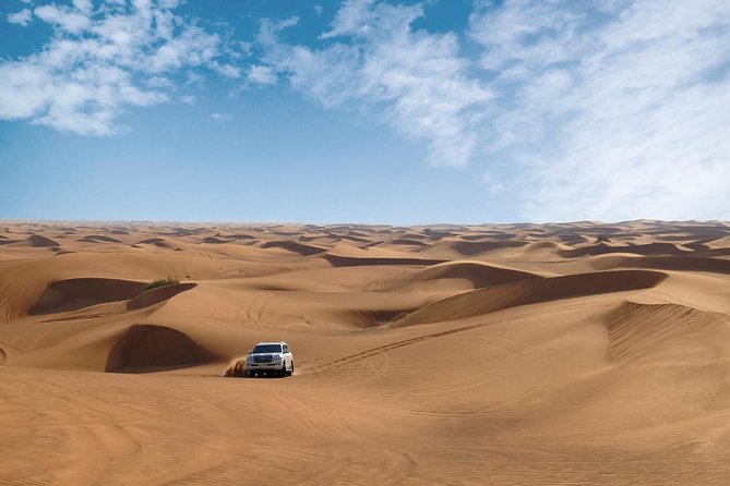 Dubai Desert Safari With Dune Bashing, Camel Rides & BBQ - Customer Reviews and Ratings