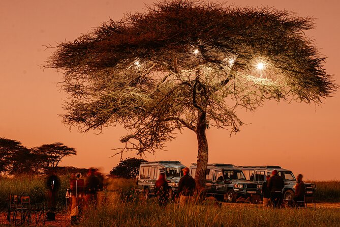 Exclusive Balloon Safari & Breakfast in Serengeti & Tarangire - Considerations for Medical Conditions and Weather