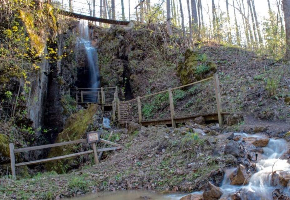 Foxfire Mountain: Hiking & Swinging Bridge Family Adventure - The Swinging Bridge Experience