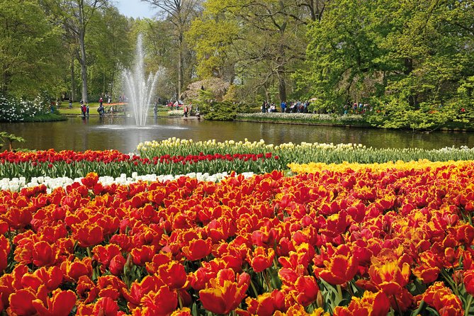 From Amsterdam: Keukenhof Flower Park Ticket and Transfer 2025 - Cancellation Policy