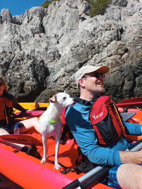 From Athens Sea Kayak Sunken City of Epidaurus - Snorkeling Marine Life