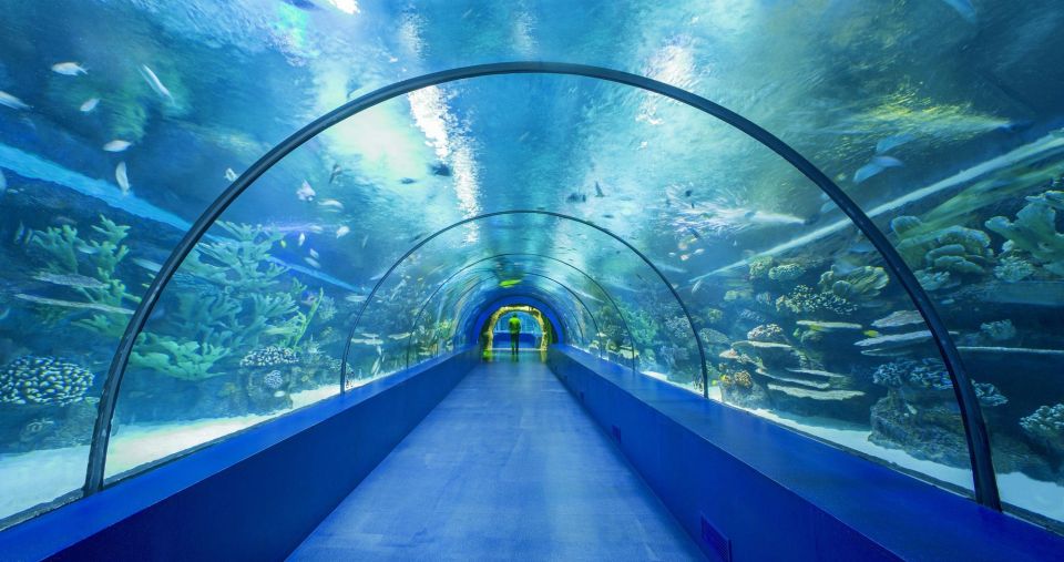 From City of Side: Antalya Aquarium Full-Day Trip - Recap