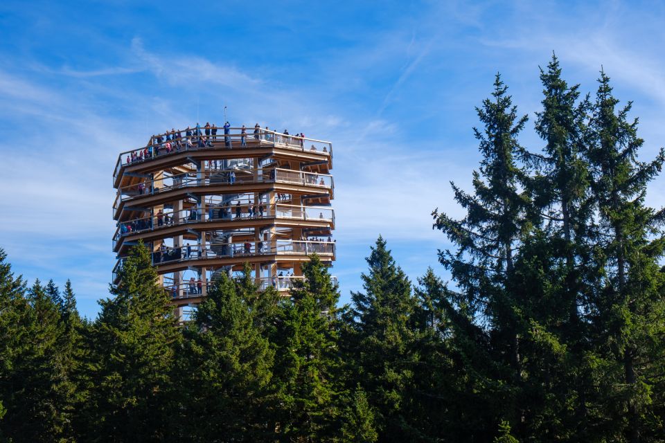 From Krakow: Slovakia Treetop Walk Bachledka Private Tour - Trail Surfaces and Length