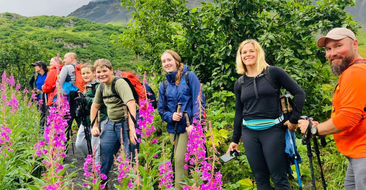 From Seward: 4-hour Wilderness Hiking Tour - Cancellation Policy