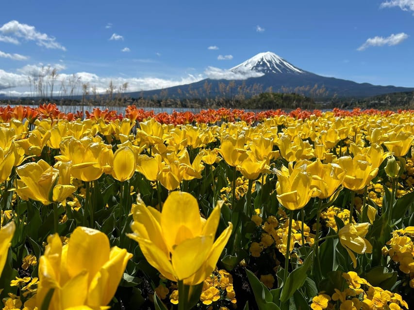 From Tokyo: Mt Fuji and Lake Kawaguchiko Private Day Trip - Additional Information