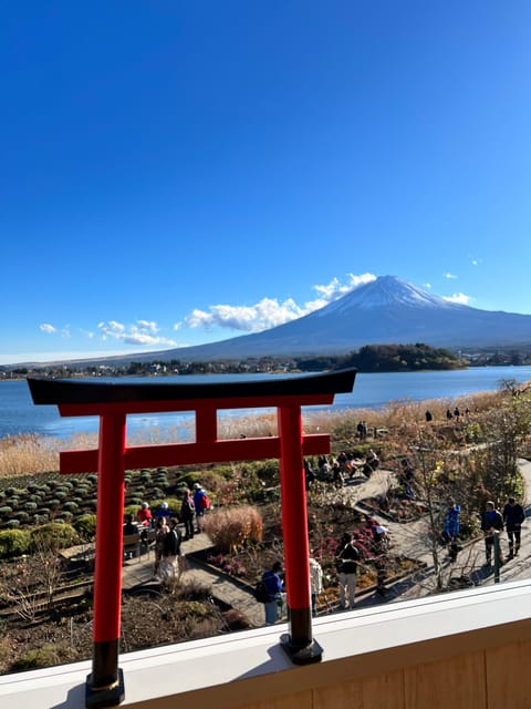 From Tokyo/Yokohama: Private Day Trip to Mt Fuji and Hakone - Optional Activities