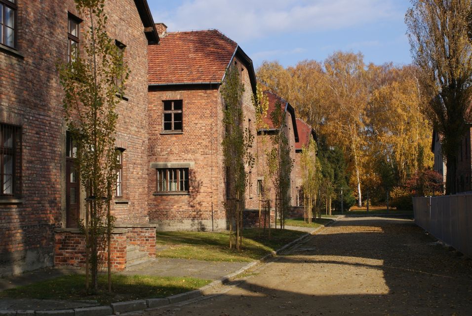 From Warsaw: Auschwitz-Birkenau Small Group Tour With Lunch - Small Group Size and Accessibility