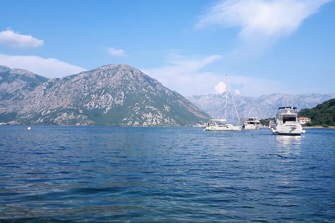 Full-Day Group Tour of Montenegro Coast From Dubrovnik - Customer Reviews