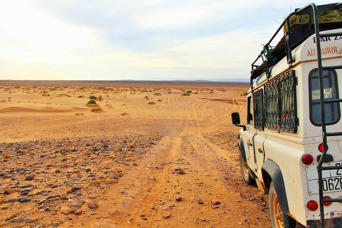 Full-Day Safari Small Desert With Lunch - Sahara Sand Dunes Exploration