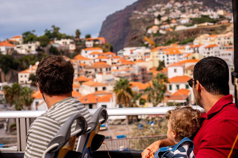 Funchal:Hop-On Hop-Off Bus & Whale & Dolphin Boat Excursion - Cancellation and Refund Policy