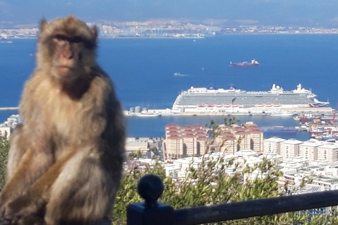 Gibraltar Sightseeing :SKYWALK AND SUSPENSION BRIDGE TOUR (Private) - Gibraltar Cruise Liner Terminal Pickup