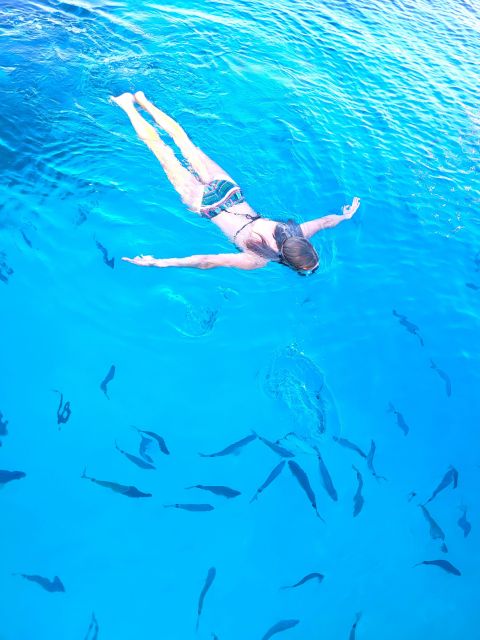 Glass Bottom Boat Trip/ 2 Hours/ Cultural Tour/ Swim Allowed - Experience