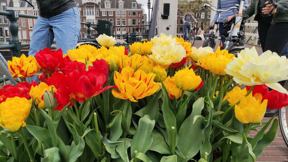 Guided Bike Tour of Amsterdam in French - Visiting Lesser-Known Neighborhoods