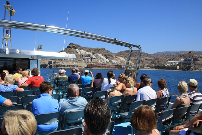 Half-Day Cruise Tour-Dolphin and Whale Watching - Duration and Group Size