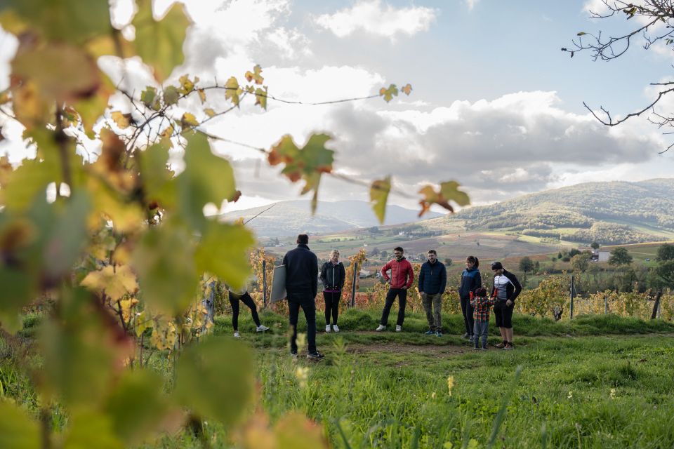 Half-Day Guided Bike Tour in Beaujolais - Mont Brouilly and Wine - Tour Inclusion