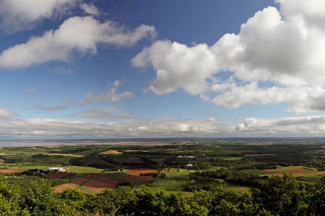 Half-Day Small-Group Tour of Annapolis Valley - Sip, Taste, and View