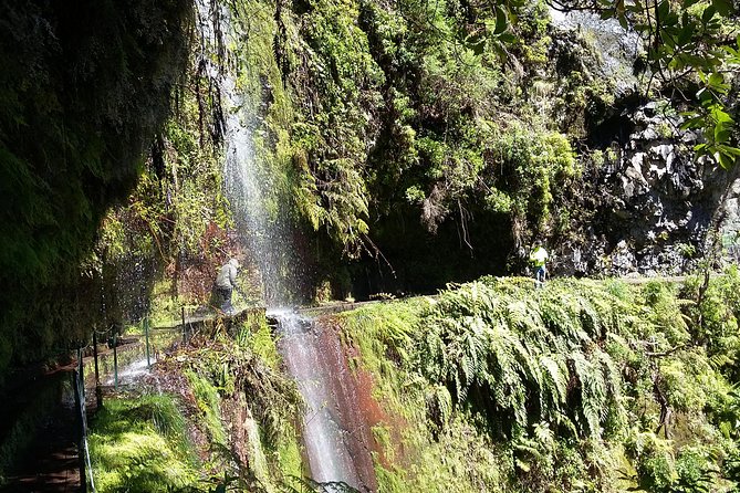 Hike in Laurisilva Levada Do Rei - Madre of Life Small Group Guided Walk - Panoramic Views of Valleys