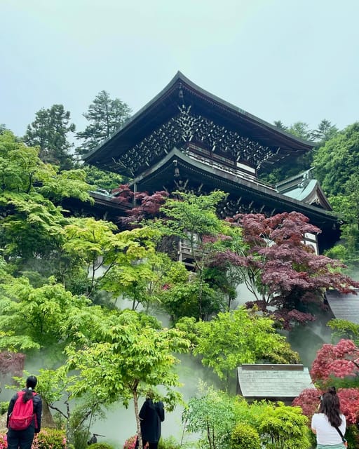 Hiroshima: Explore Miyajima Private Gem Tour Review - Important Considerations