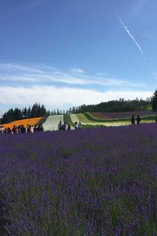 Hokkaido: Flower Sea, Pastoral, and Natural Scenery Day Tour - Key Stops