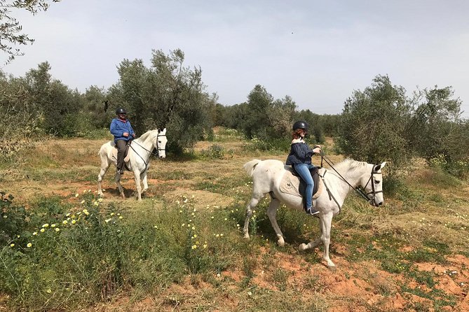 Horse Riding Excursion From Seville - Family-Run Stable Visit