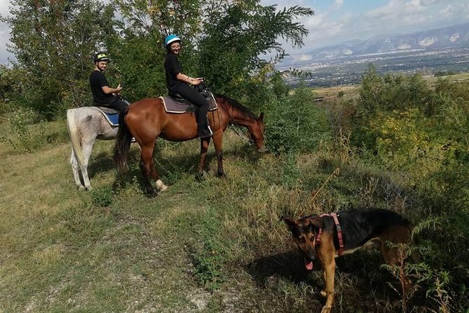 Horse Riding on Vesuvius - Additional Notes