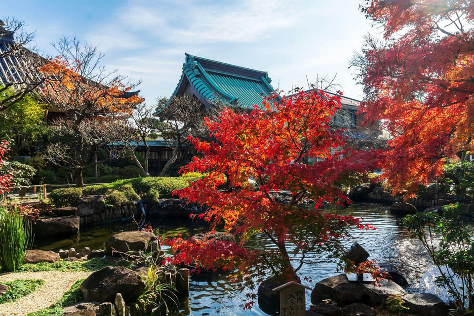 Kamakura & Yokohama One Day Private Trip With English Driver - Important Information