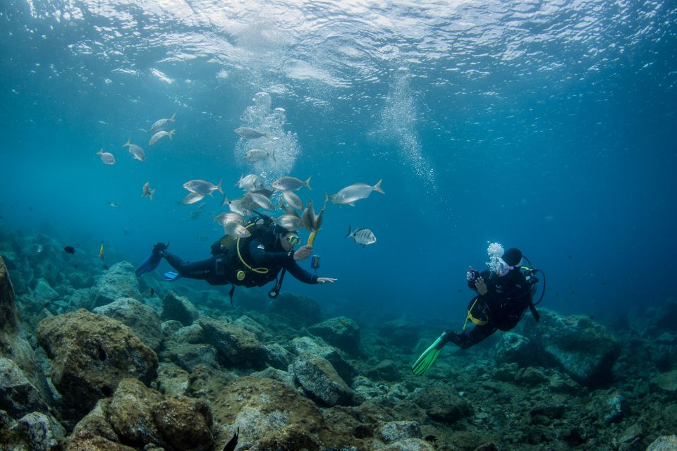 Lanzarote: Beginner Scuba Diving From the Beach - Safety Considerations