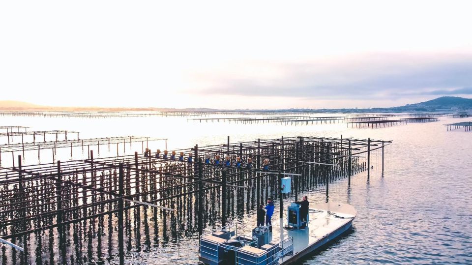 Loupian: Tour Guide of Our Oyster Farm and Tasting - Booking Information