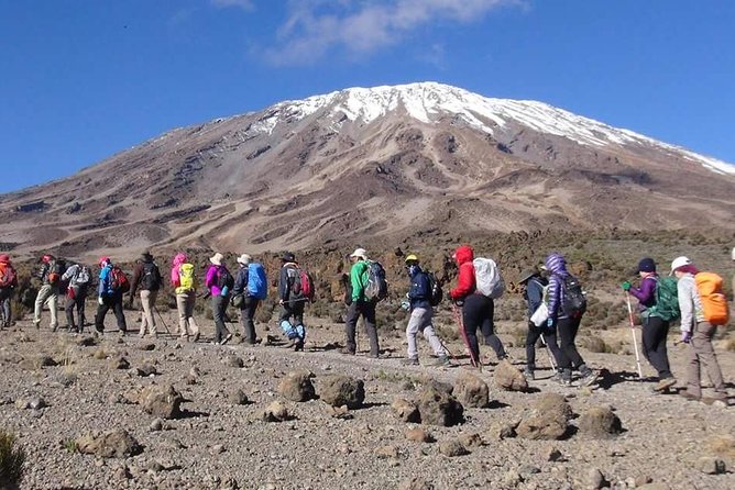 Machame Route 6 Days 5 Nights/Kilimanjaro Climb - Customer Ratings and Pricing