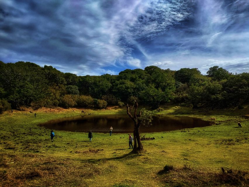 Madeira: Western Madeira Guided Trip & Fanal Mystic Forest - Recommended Attire and Gear