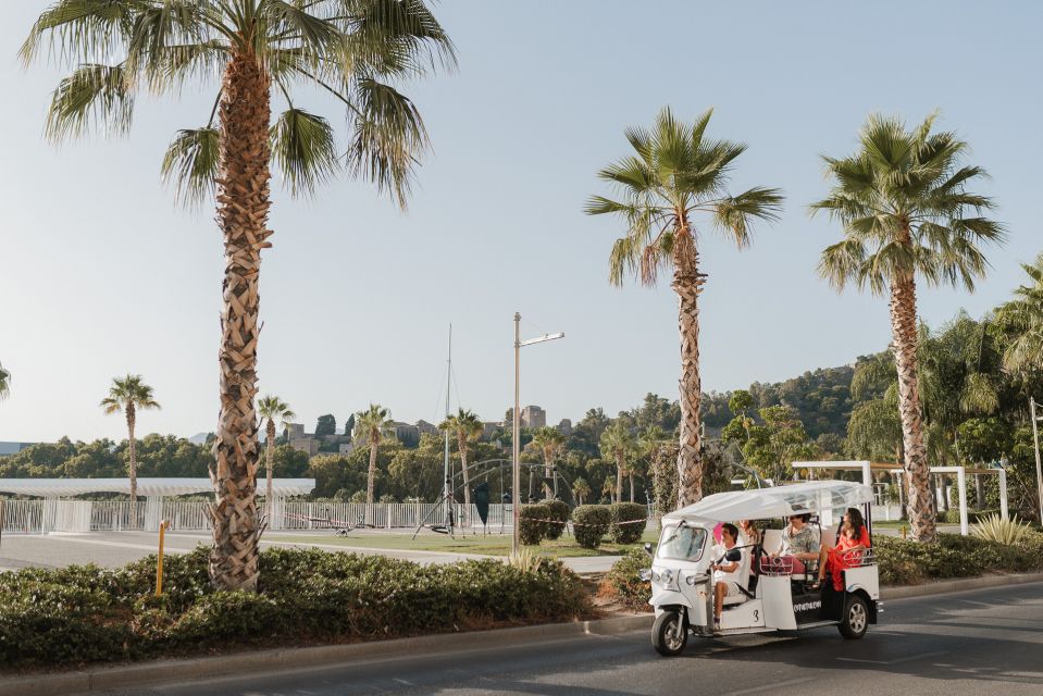 Malaga: Private City Tour by Eco Tuk Tuk - Luggage Policy