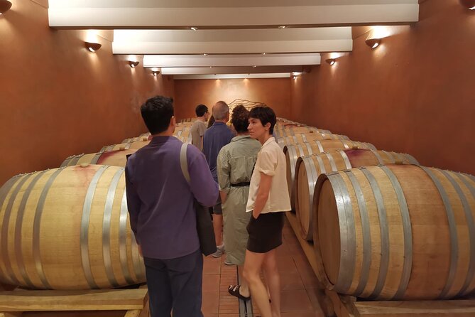 Marseille Shore Excursion - Full Day Wine Tour in Provence - Additional Considerations