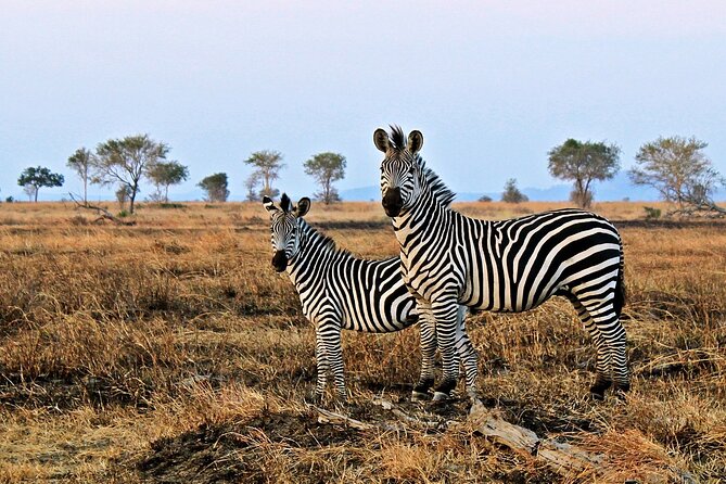 Mikumi National Park & Udzungwa Water Falls 3 Days Group Tour - Hiking and Nature Exploration