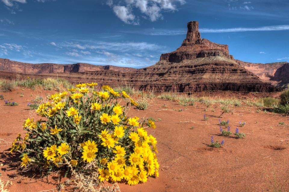 Moab: Canyonlands National Park 4x4 White Rim Tour - Traversing the Island in the Sky