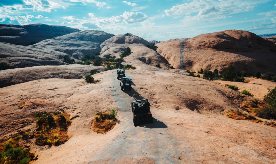 Moab: Hells Revenge 4WD Off-Road Tour by Kawasaki UTV - Fossilized Dinosaur Tracks